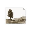 Picture of Tree on a Hill _GroupedProduct_Rectangle_Landscape_Photography _GroupedProduct_Rectangle_Landscape_Unframed_Print_Only_