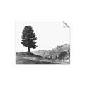 Picture of Tree on a Hill _GroupedProduct_Rectangle_Landscape_Photography _GroupedProduct_Rectangle_Landscape_Unframed_Print_Only_