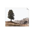 Picture of Tree on a Hill _GroupedProduct_Rectangle_Landscape_Photography _GroupedProduct_Rectangle_Landscape_Unframed_Print_Only_