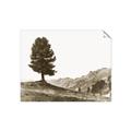 Picture of Tree on a Hill _GroupedProduct_Rectangle_Landscape_Photography _GroupedProduct_Rectangle_Landscape_Unframed_Print_Only_