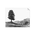 Picture of Tree on a Hill _GroupedProduct_Rectangle_Landscape_Photography _GroupedProduct_Rectangle_Landscape_Unframed_Print_Only_