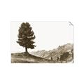 Picture of Tree on a Hill _GroupedProduct_Rectangle_Landscape_Photography _GroupedProduct_Rectangle_Landscape_Unframed_Print_Only_