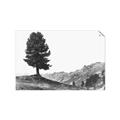 Picture of Tree on a Hill _GroupedProduct_Rectangle_Landscape_Photography _GroupedProduct_Rectangle_Landscape_Unframed_Print_Only_