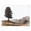 Picture of Tree on a Hill _GroupedProduct_Rectangle_Landscape_Photography _GroupedProduct_Rectangle_Landscape_Unframed_Print_Only_