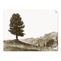 Picture of Tree on a Hill _GroupedProduct_Rectangle_Landscape_Photography _GroupedProduct_Rectangle_Landscape_Unframed_Print_Only_