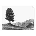 Picture of Tree on a Hill _GroupedProduct_Rectangle_Landscape_Photography _GroupedProduct_Rectangle_Landscape_Unframed_Print_Only_