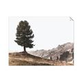Picture of Tree on a Hill _GroupedProduct_Rectangle_Landscape_Photography _GroupedProduct_Rectangle_Landscape_Unframed_Print_Only_