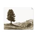 Picture of Tree on a Hill _GroupedProduct_Rectangle_Landscape_Photography _GroupedProduct_Rectangle_Landscape_Unframed_Print_Only_