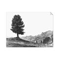 Picture of Tree on a Hill _GroupedProduct_Rectangle_Landscape_Photography _GroupedProduct_Rectangle_Landscape_Unframed_Print_Only_