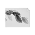Picture of Spring Dew Leaves _GroupedProduct_Rectangle_Landscape_Photography _GroupedProduct_Rectangle_Landscape_Unframed_Print_Only_
