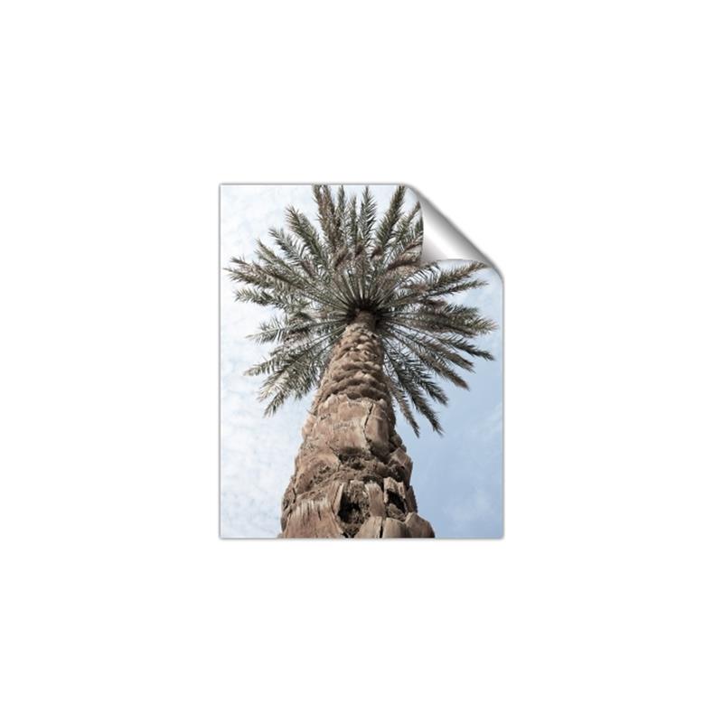 Picture of Palm Perfection _GroupedProduct_Rectangle_Portrait_Photography _GroupedProduct_Rectangle_Portrait_Unframed_Print_Only_