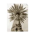 Picture of Palm Perfection _GroupedProduct_Rectangle_Portrait_Photography _GroupedProduct_Rectangle_Portrait_Unframed_Print_Only_