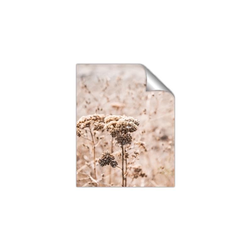 Picture of Macro Dried Florals _GroupedProduct_Rectangle_Portrait_Photography _GroupedProduct_Rectangle_Portrait_Unframed_Print_Only_