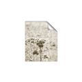 Picture of Macro Dried Florals _GroupedProduct_Rectangle_Portrait_Photography _GroupedProduct_Rectangle_Portrait_Unframed_Print_Only_