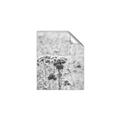 Picture of Macro Dried Florals _GroupedProduct_Rectangle_Portrait_Photography _GroupedProduct_Rectangle_Portrait_Unframed_Print_Only_