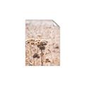 Picture of Macro Dried Florals _GroupedProduct_Rectangle_Portrait_Photography _GroupedProduct_Rectangle_Portrait_Unframed_Print_Only_
