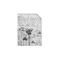 Picture of Macro Dried Florals _GroupedProduct_Rectangle_Portrait_Photography _GroupedProduct_Rectangle_Portrait_Unframed_Print_Only_