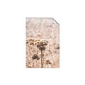 Picture of Macro Dried Florals _GroupedProduct_Rectangle_Portrait_Photography _GroupedProduct_Rectangle_Portrait_Unframed_Print_Only_