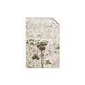 Picture of Macro Dried Florals _GroupedProduct_Rectangle_Portrait_Photography _GroupedProduct_Rectangle_Portrait_Unframed_Print_Only_