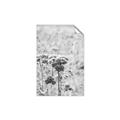 Picture of Macro Dried Florals _GroupedProduct_Rectangle_Portrait_Photography _GroupedProduct_Rectangle_Portrait_Unframed_Print_Only_