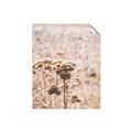 Picture of Macro Dried Florals _GroupedProduct_Rectangle_Portrait_Photography _GroupedProduct_Rectangle_Portrait_Unframed_Print_Only_