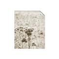 Picture of Macro Dried Florals _GroupedProduct_Rectangle_Portrait_Photography _GroupedProduct_Rectangle_Portrait_Unframed_Print_Only_