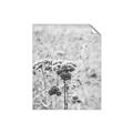 Picture of Macro Dried Florals _GroupedProduct_Rectangle_Portrait_Photography _GroupedProduct_Rectangle_Portrait_Unframed_Print_Only_