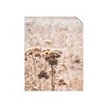 Picture of Macro Dried Florals _GroupedProduct_Rectangle_Portrait_Photography _GroupedProduct_Rectangle_Portrait_Unframed_Print_Only_