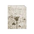 Picture of Macro Dried Florals _GroupedProduct_Rectangle_Portrait_Photography _GroupedProduct_Rectangle_Portrait_Unframed_Print_Only_