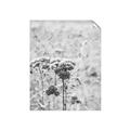 Picture of Macro Dried Florals _GroupedProduct_Rectangle_Portrait_Photography _GroupedProduct_Rectangle_Portrait_Unframed_Print_Only_