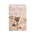 Picture of Macro Dried Florals _GroupedProduct_Rectangle_Portrait_Photography _GroupedProduct_Rectangle_Portrait_Unframed_Print_Only_