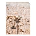 Picture of Macro Dried Florals _GroupedProduct_Rectangle_Portrait_Photography _GroupedProduct_Rectangle_Portrait_Unframed_Print_Only_