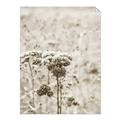 Picture of Macro Dried Florals _GroupedProduct_Rectangle_Portrait_Photography _GroupedProduct_Rectangle_Portrait_Unframed_Print_Only_