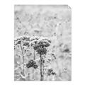 Picture of Macro Dried Florals _GroupedProduct_Rectangle_Portrait_Photography _GroupedProduct_Rectangle_Portrait_Unframed_Print_Only_