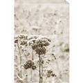 Picture of Macro Dried Florals _GroupedProduct_Rectangle_Portrait_Photography _GroupedProduct_Rectangle_Portrait_Unframed_Print_Only_