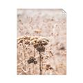Picture of Macro Dried Florals _GroupedProduct_Rectangle_Portrait_Photography _GroupedProduct_Rectangle_Portrait_Unframed_Print_Only_