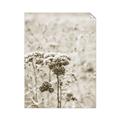 Picture of Macro Dried Florals _GroupedProduct_Rectangle_Portrait_Photography _GroupedProduct_Rectangle_Portrait_Unframed_Print_Only_