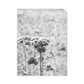 Picture of Macro Dried Florals _GroupedProduct_Rectangle_Portrait_Photography _GroupedProduct_Rectangle_Portrait_Unframed_Print_Only_