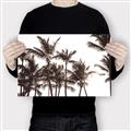 Picture of Cali Palms Sepia Collection _GroupedProduct_Rectangle_Landscape_Photography _GroupedProduct_Rectangle_Landscape_Canvas_