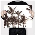 Picture of Cali Palms Sepia Collection _GroupedProduct_Rectangle_Landscape_Photography _GroupedProduct_Rectangle_Landscape_Canvas_