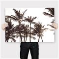 Picture of Cali Palms Sepia Collection _GroupedProduct_Rectangle_Landscape_Photography _GroupedProduct_Rectangle_Landscape_Canvas_