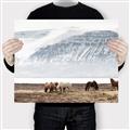 Picture of Wild Horses _GroupedProduct_Rectangle_Landscape_Photography _GroupedProduct_Rectangle_Landscape_Canvas_