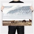 Picture of Wild Horses _GroupedProduct_Rectangle_Landscape_Photography _GroupedProduct_Rectangle_Landscape_Canvas_