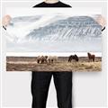 Picture of Wild Horses _GroupedProduct_Rectangle_Landscape_Photography _GroupedProduct_Rectangle_Landscape_Canvas_