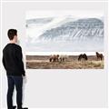 Picture of Wild Horses _GroupedProduct_Rectangle_Landscape_Photography _GroupedProduct_Rectangle_Landscape_Canvas_