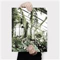 Picture of Greenhouse Serenity  _GroupedProduct_Rectangle_Portrait_Photography _GroupedProduct_Rectangle_Portrait_Canvas_