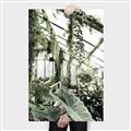 Picture of Greenhouse Serenity  _GroupedProduct_Rectangle_Portrait_Photography _GroupedProduct_Rectangle_Portrait_Canvas_