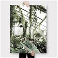Picture of Greenhouse Serenity  _GroupedProduct_Rectangle_Portrait_Photography _GroupedProduct_Rectangle_Portrait_Canvas_