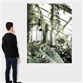 Picture of Greenhouse Serenity  _GroupedProduct_Rectangle_Portrait_Photography _GroupedProduct_Rectangle_Portrait_Canvas_