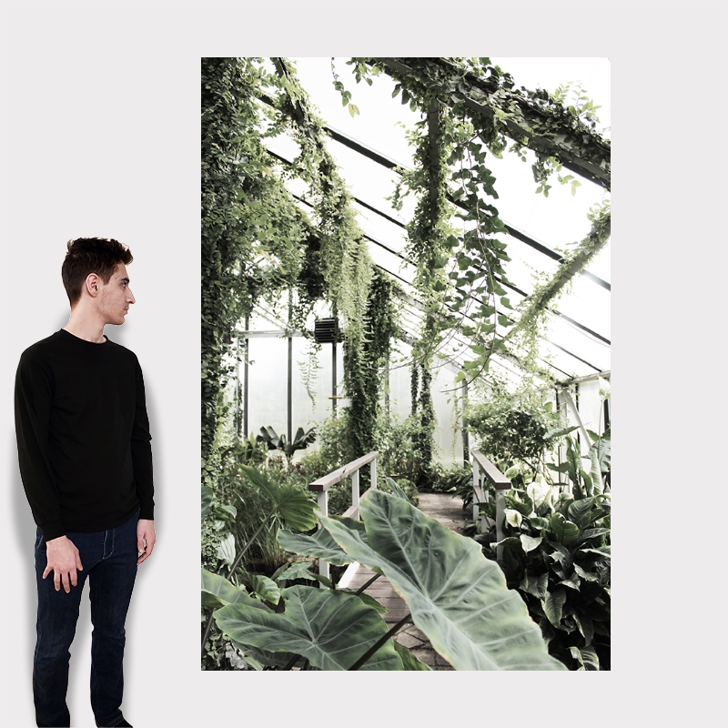 nextART. Greenhouse Serenity